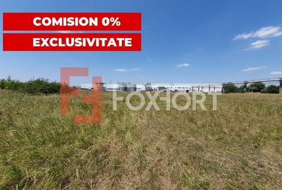 COMISION 0% Teren de vanzare intravilan de 5000 mp in Chisoda - 11