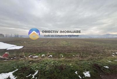 Teren de 4500 mp, în Dumbrava - 3