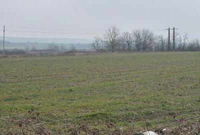 Spațiu comercial, în Central - 7