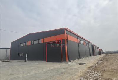 Depozit/hala/spatiu industrial Pantelimon - Centura - 2
