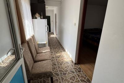 Casă individuală cu 4 camere cu Teren 7204 Mp în Malamuc - 15