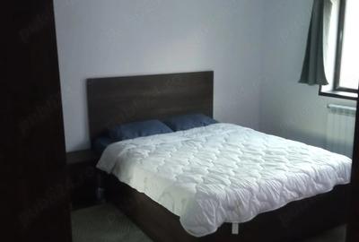 Apartament cu 3 camere decomandat în Dancu - 10
