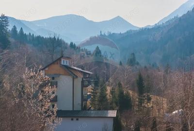 Casă cu 8 camere cu Teren 3584 Mp în Glăjărie - 2