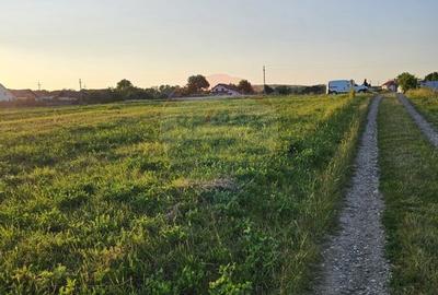 Teren Construcții intravilan de 1495 mp, în Dobreni - 26