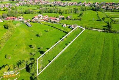 FILM! 2.063 mp de refugiu natural in localitatea Zagon, Covasna - 2