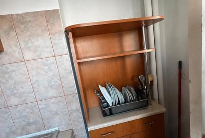 Garsonieră semidecomandată în Dristor - 5