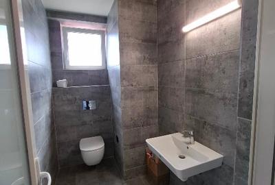 Birou, de 35 mp, în Dacia - 3