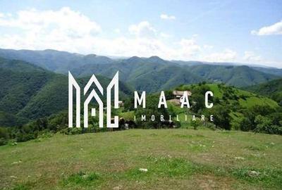 Casă cu 4 camere cu Teren 60000 Mp în Central - 17