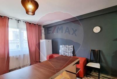 Garsoniera de vanzare Dristor, Investitie cu randament ri... - 3