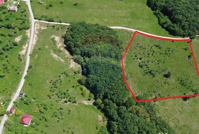 Teren de 55600 mp, în Codru Butesii