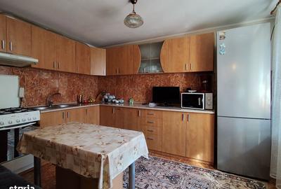 Casă cu 3 camere cu Teren 2826 Mp în Saca - 12