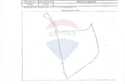 Teren intravilan de 49000 mp, în Borca - 18
