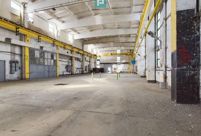 Spatiu industrial hala depozit 740 mp Drumul Taberei, Sector 6 Spatiu industrial hala depozit 740 mp Drumul Taberei, Sector 6 - 6