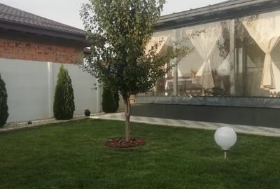 Casa pe parter, curte matura, complex linistit – Clinceni ! - 28