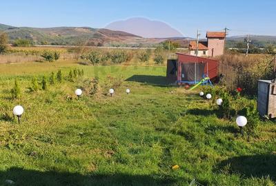 Hală comercială de vânzare – oportunitate excelentă de investiție - 15