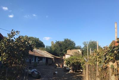 Vând casă în sat Crăciunei, comuna Radomirești, județul Olt Vând casă în sat Crăciunei, comuna Radomirești, județul Olt - 6