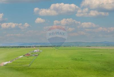 Teren Construcții intravilan de 3400 mp, în Glăjărie - 7