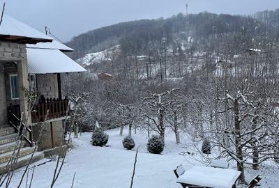 Casă individuală cu 3 camere cu Teren 2800 Mp în Boțești - 4