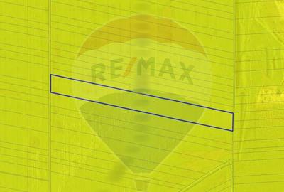 Teren 26,900mp com. Vladimirescu Teren 26,900mp com. Vladimirescu - 4