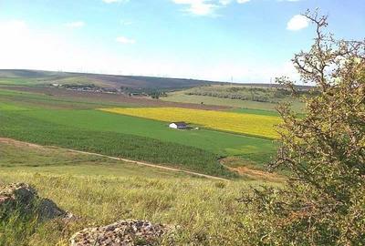 Teren de 90000 mp, în Peștera - 2