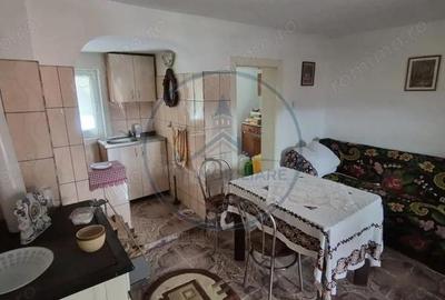 Casă cu Teren 3800 Mp în Prundu Bârgăului - 13