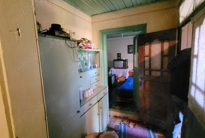 Casa 3 camere Dridu - 9