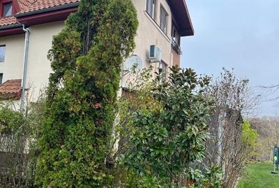 Domeniu excelent cu iesire si vedere in centrul Lacului Snagov - 8