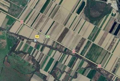 Teren de 18300 mp, în Gavojdia - 1