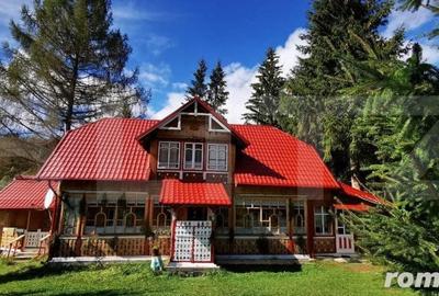 Casă cu 7 camere cu Teren 32000 Mp în Vatra Dornei - 13