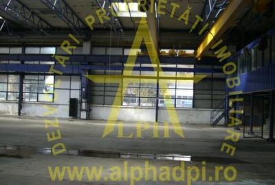 HALĂ sector 3 Republica - 3