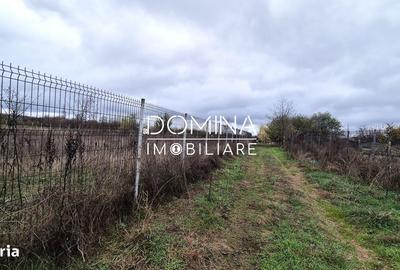 Spațiu comercial, în Curtișoara - 10