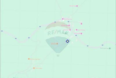 Teren în Pietroasa - 3