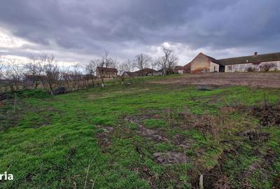 Teren de 664 mp, în Remetea Mare - 5