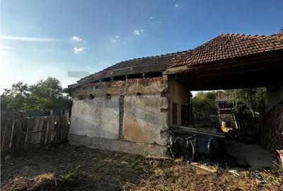 Casă cu Teren 3 Mp în Tinca - 1