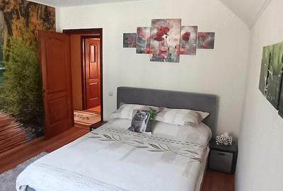 Casă cu Teren 300 Mp în Central - 6