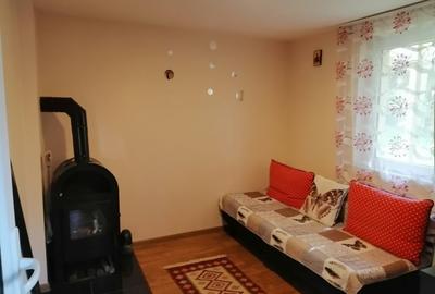 Casă individuală cu 2 camere cu Teren 600 Mp în Conop - 11