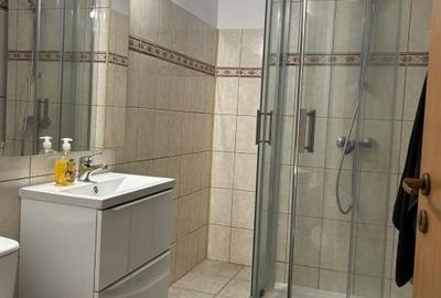 Apartament 110 mp,3 camere, mansardă, 2 băi, curte în coproprietate, parcare - 6