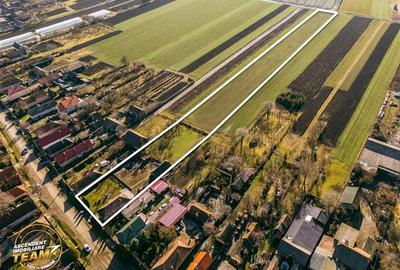 Casă individuală cu 3 camere cu Teren 7608 Mp în Cernat - 39