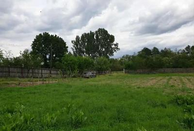 Casă cu 3 camere cu Teren 5000 Mp în Mozăceni - 8