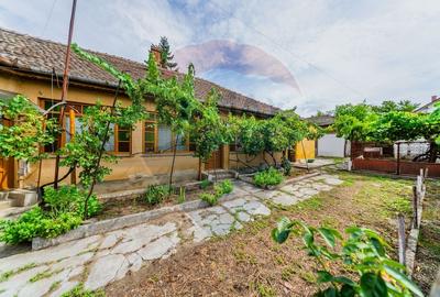 Casa cu 4 camere si teren 540 m in Pecica - Zona excelenta - 17