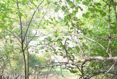 Brasov-Schei -Teren intravilan de vanzare - 5