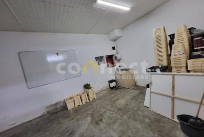 Hala 300mp+birouri 50mp - 5