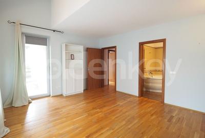 Duplex cu 5 camere cu Piscina în Iancu Nicolae - 11