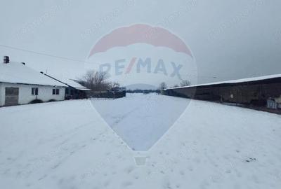 Casă cu 5 camere cu Teren 7531 Mp în Sacu - 3