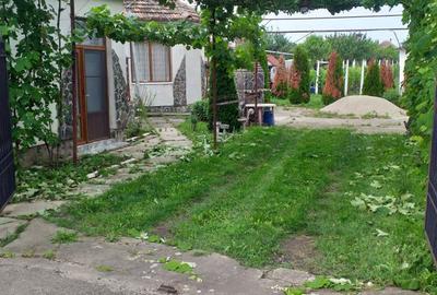 Casă cu 4 camere cu Teren 1202 Mp în Șagu - 7