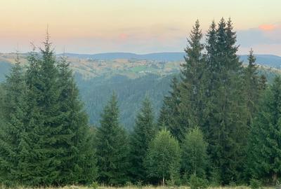 Spațiu comercial, în Mărișel - 6