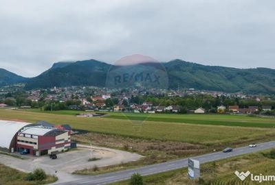 Teren de 790 mp, în Baciu - 4
