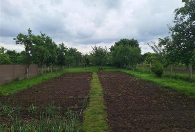 Reco, casa gepiu - 14