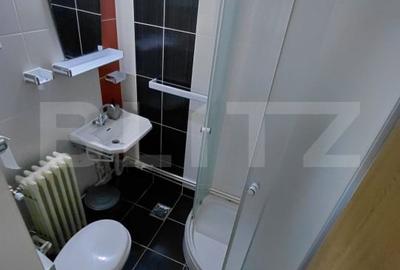 Hotel/Pensiune, în Brazda lui Novac - 7