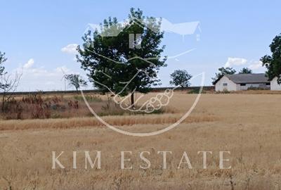 Ferma Pantelimon 10 hectare - 12